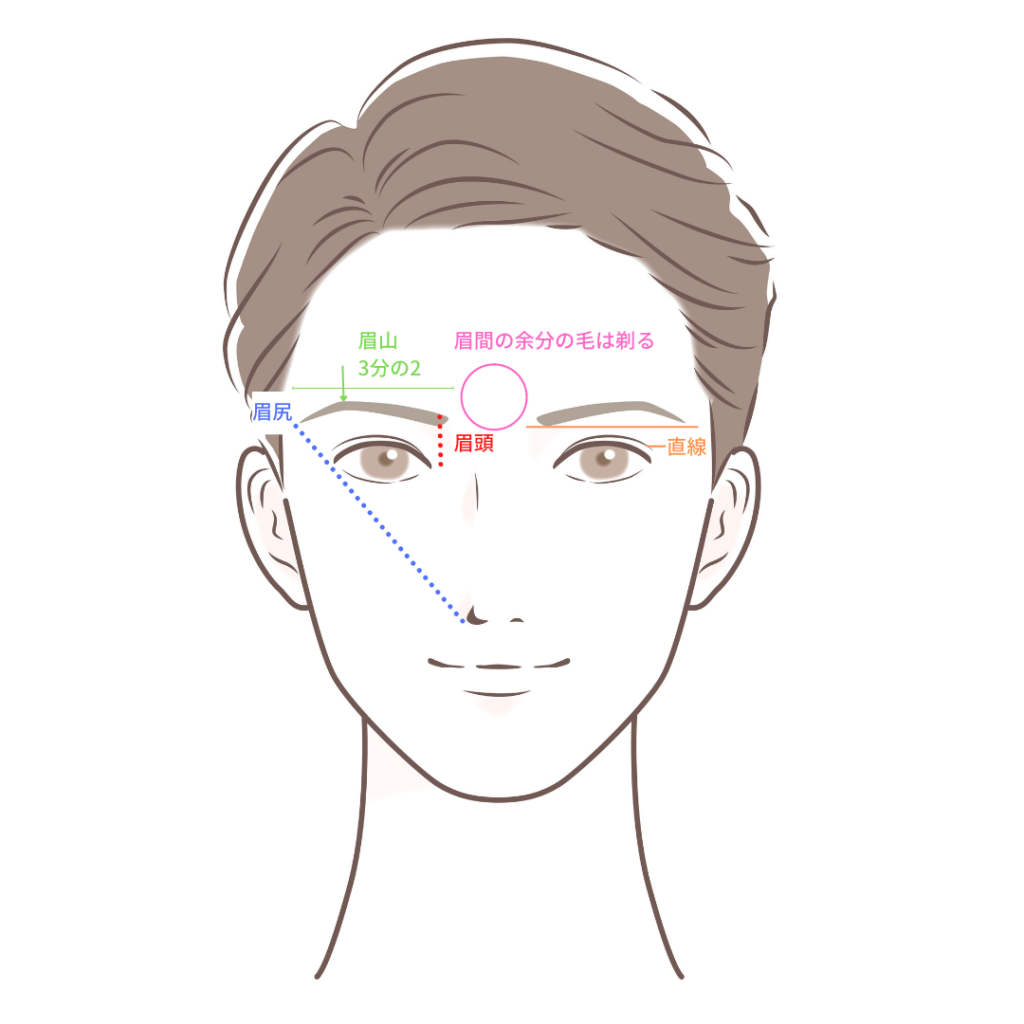 眉毛の黄金比